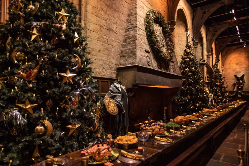 Discover Hogwarts in the Snow! (16th Nov - 19th Jan)